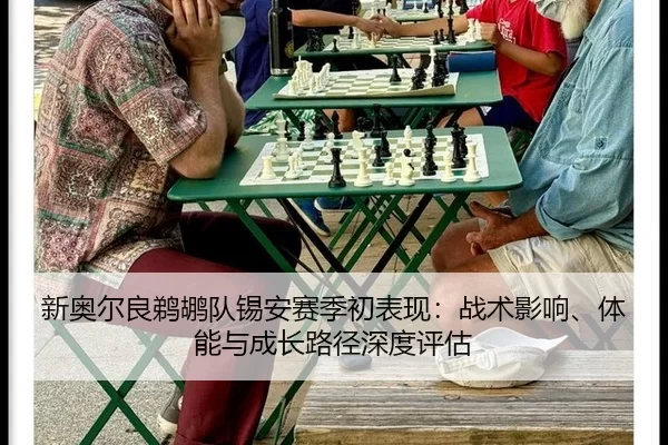 xin-ao-er-liang-ti-hu-dui-xi-an-sai-ji-chu-biao-xian-zhan-shu-ying-xiang-ti-neng-yu-cheng-zhang-lu-jing-shen-du-ping-gu-2-299.jpg