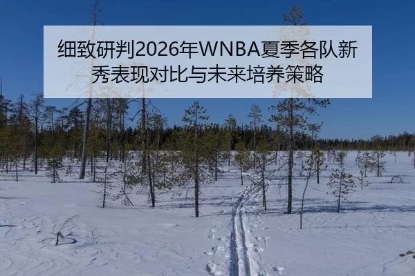 细致研判2026年WNBA夏季各队新秀表现对比与未来培养策略