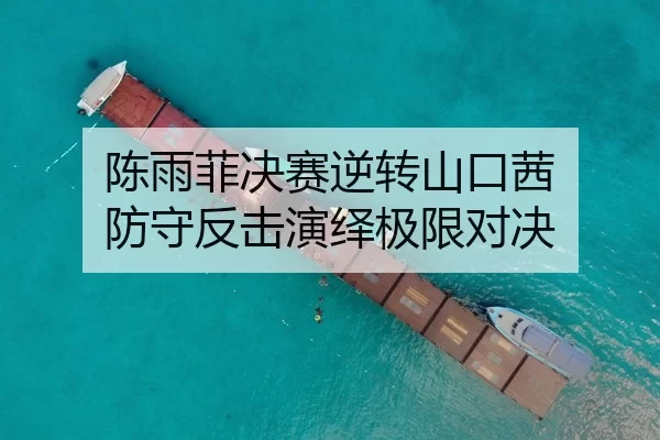 陈雨菲决赛逆转山口茜 防守反击演绎极限对决