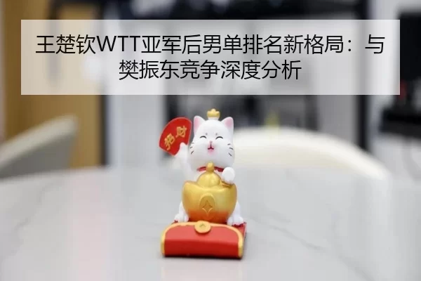 王楚钦WTT亚军后男单排名新格局：与樊振东竞争深度分析