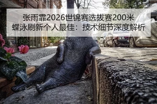 张雨霏2026世锦赛选拔赛200米蝶泳刷新个人最佳：技术细节深度解析
